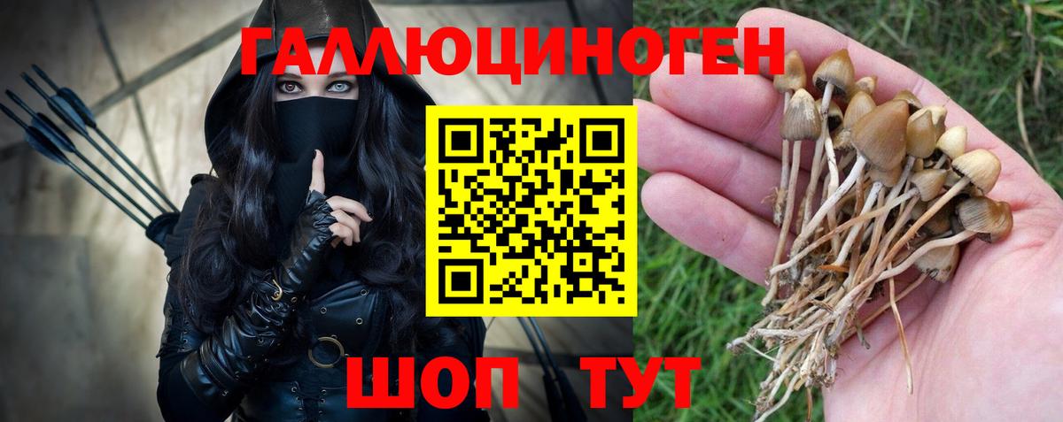 ГАШ Каменск-Шахтинский
