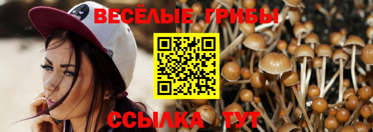 Каменск-Шахтинский  наркотики  Вход с VPN  Галлюциногенные грибы прущие грибы 